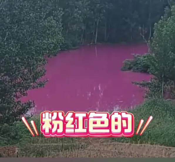 洛阳一地现粉色水塘，村民呼吁彻查污染源头，官方回应：对河道两岸企业进行排查